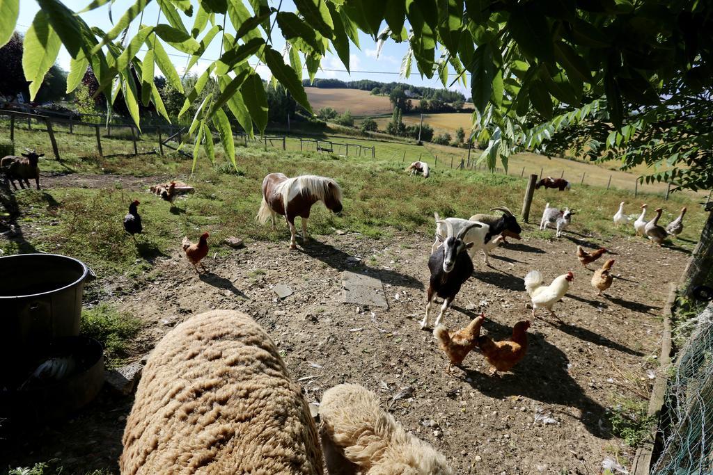 La Ferme Couderc Villa Castelnaud-de-Gratecambe Ngoại thất bức ảnh