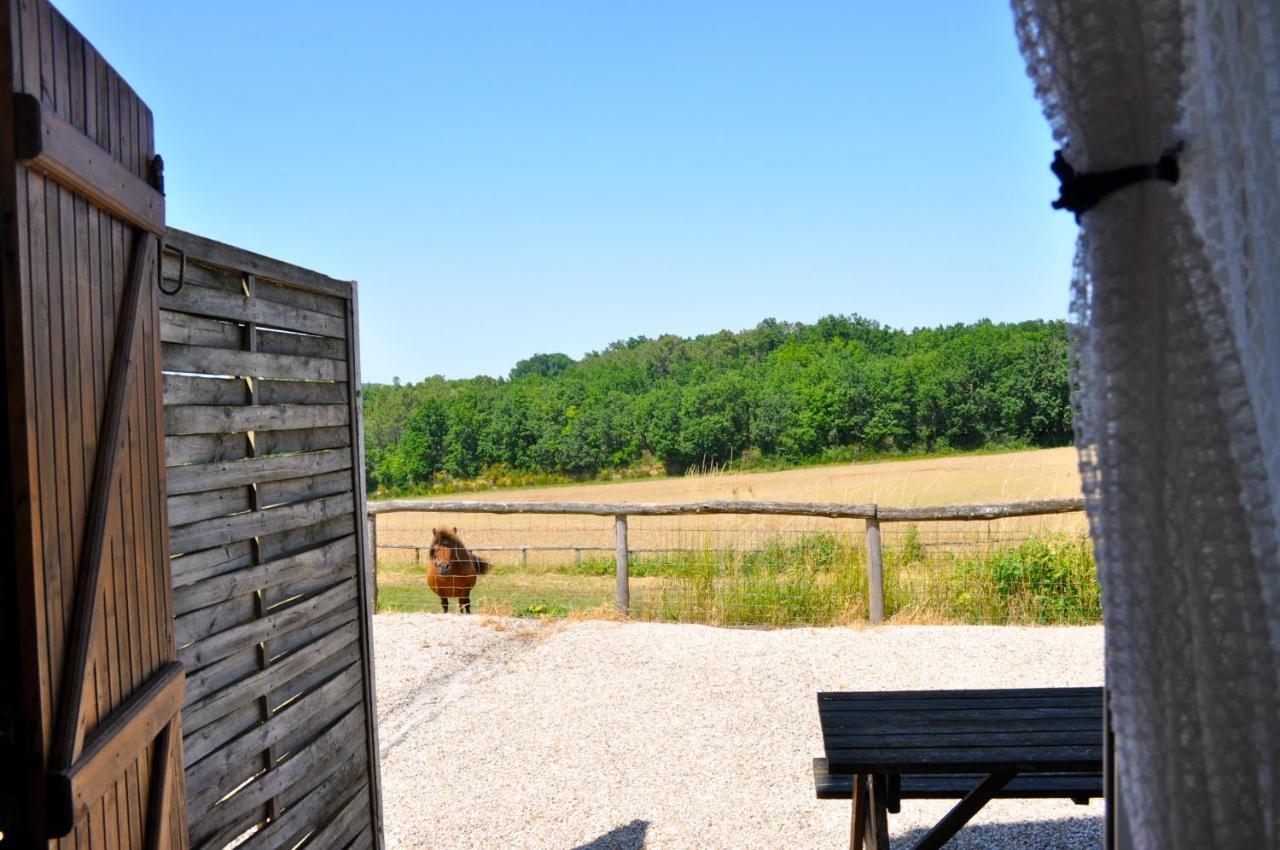 La Ferme Couderc Villa Castelnaud-de-Gratecambe Ngoại thất bức ảnh